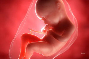 Pre-Birth Story