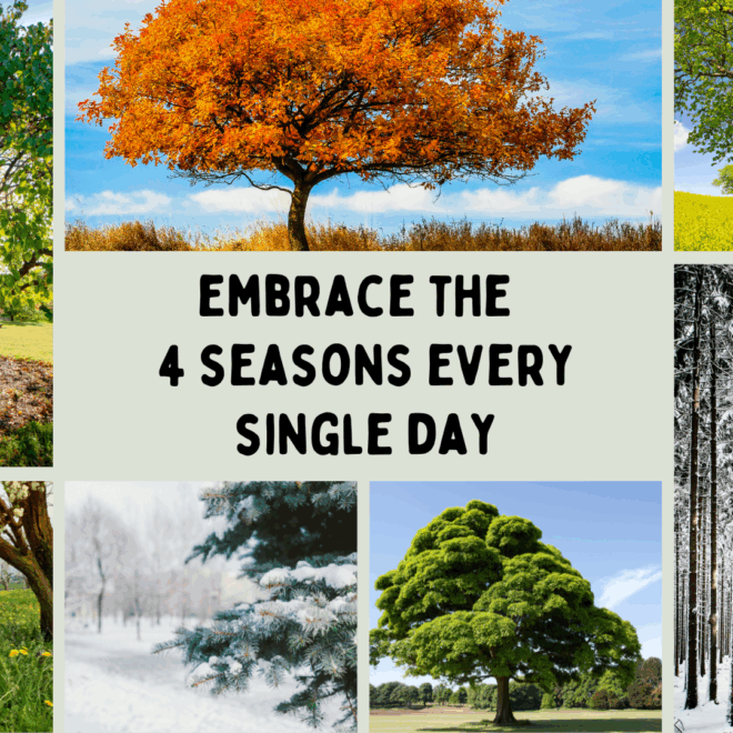 EMBRACE THE FOUR SEASONS OF LIFE EVERY SINGLE DAY