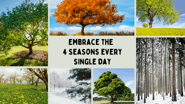 EMBRACE THE FOUR SEASONS OF LIFE EVERY SINGLE DAY